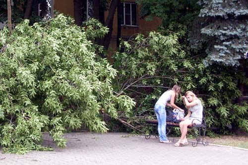 Дерево, упавшее в сквере Шевченко, слава Богу, только напугала отдыхавших девушек
