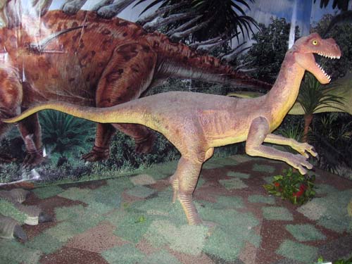 На выставке представлены 13 фигур динозавров  в натуральную величину с элементами движения.  Они являются точной копией настоящих животных.
