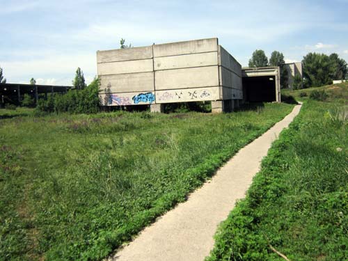 Якобы по этой дорожке убийца  провожал девушку на р-н Целинный