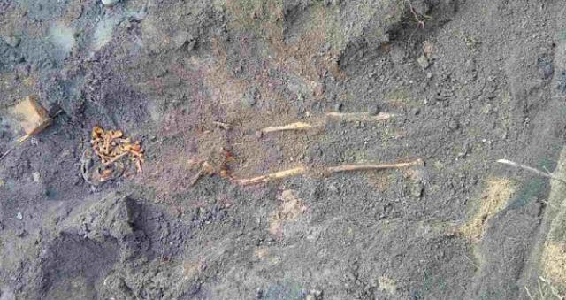 a880ceed040c9ba47056d62b52d0e1f7