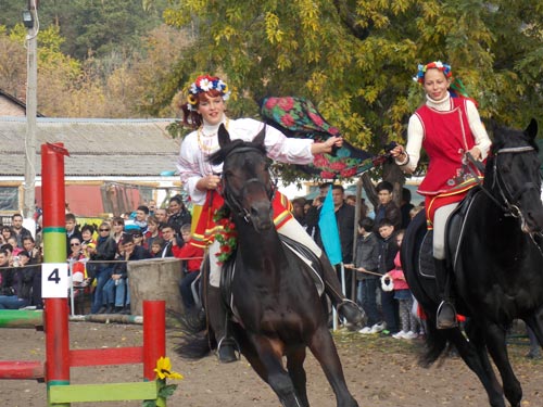 Показательные выступления конного клуба «Аллюр» ярко демонстрируют широкие возможности наездников и лошадей