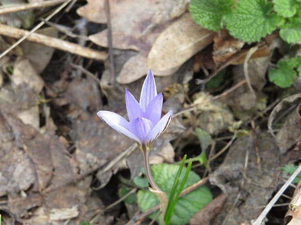 87502432 1456473584534955 5256718947268427776 o