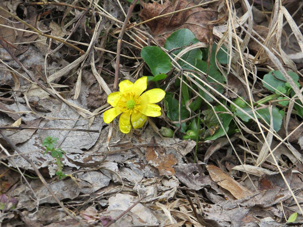 87633070 1456473881201592 4521805396737785856 o