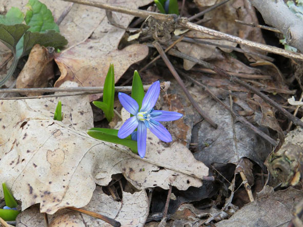 87750788 1456473704534943 8507196543873318912 o