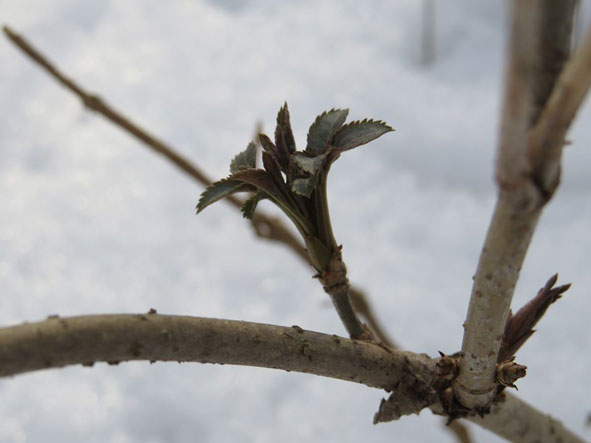 87827183 1456473927868254 1208424177267113984 o